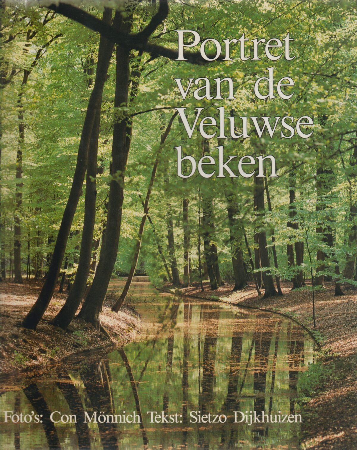 Portret van de Veluwse beken