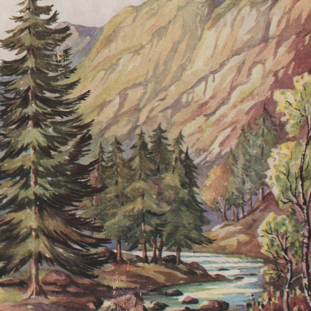 Wild Wales - its people, language and scenery -