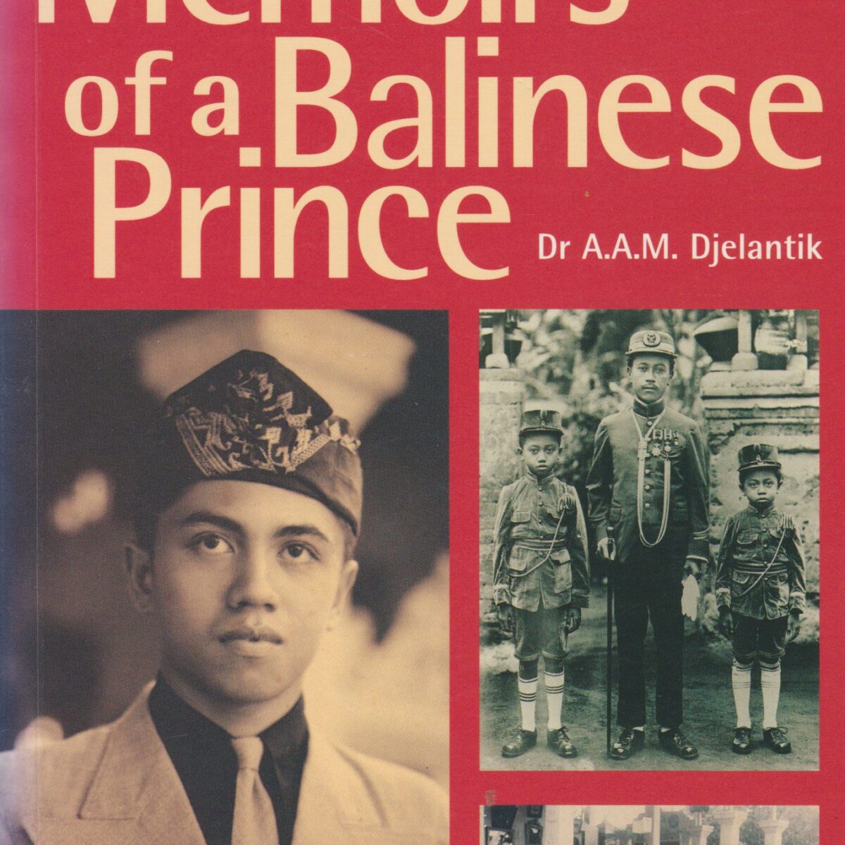 The Birthmark - Memoirs of a Balinese Prince -