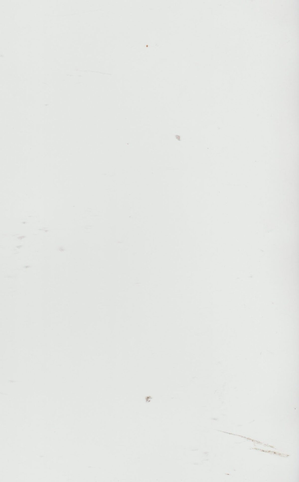 Groeten van Rottumerplaat