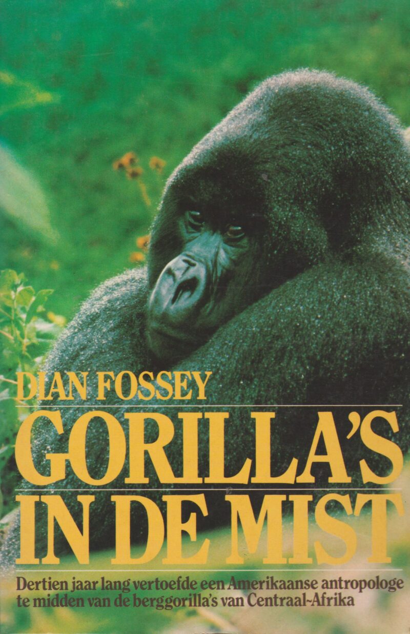 Gorilla's in de mist