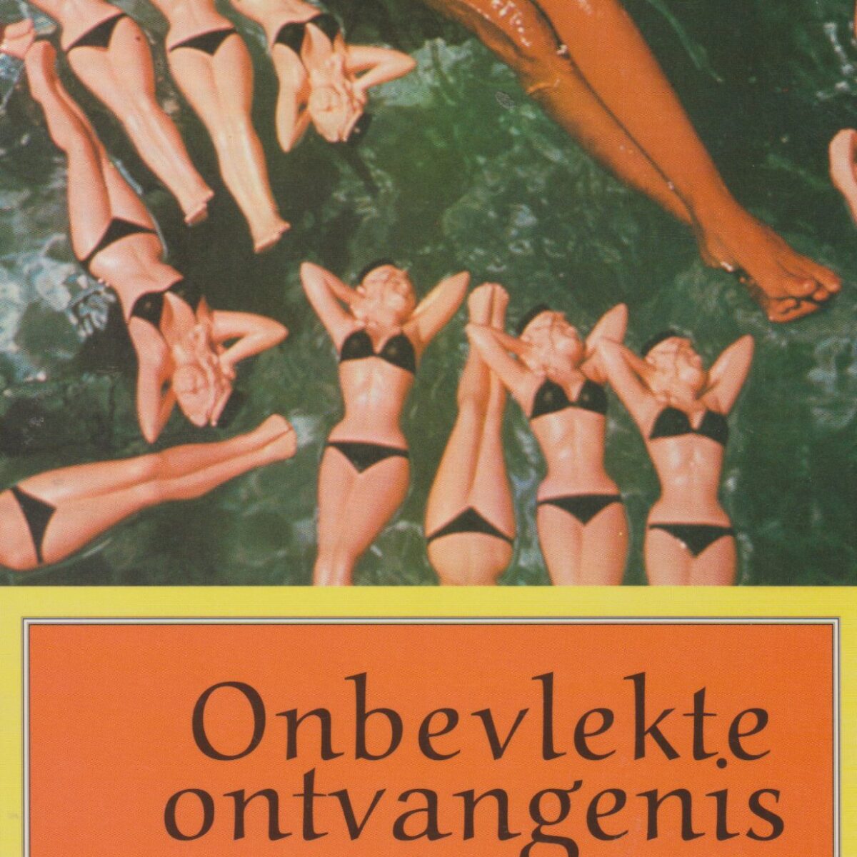 Onbevlekte ontvangenis
