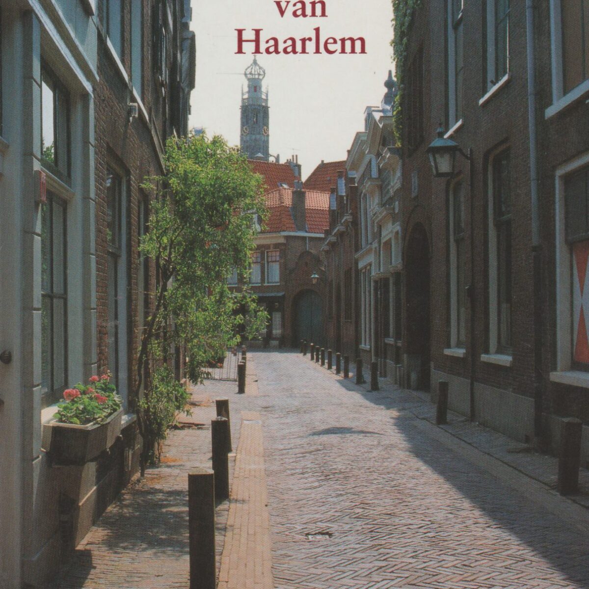 Literaire wandelgids van Haarlem