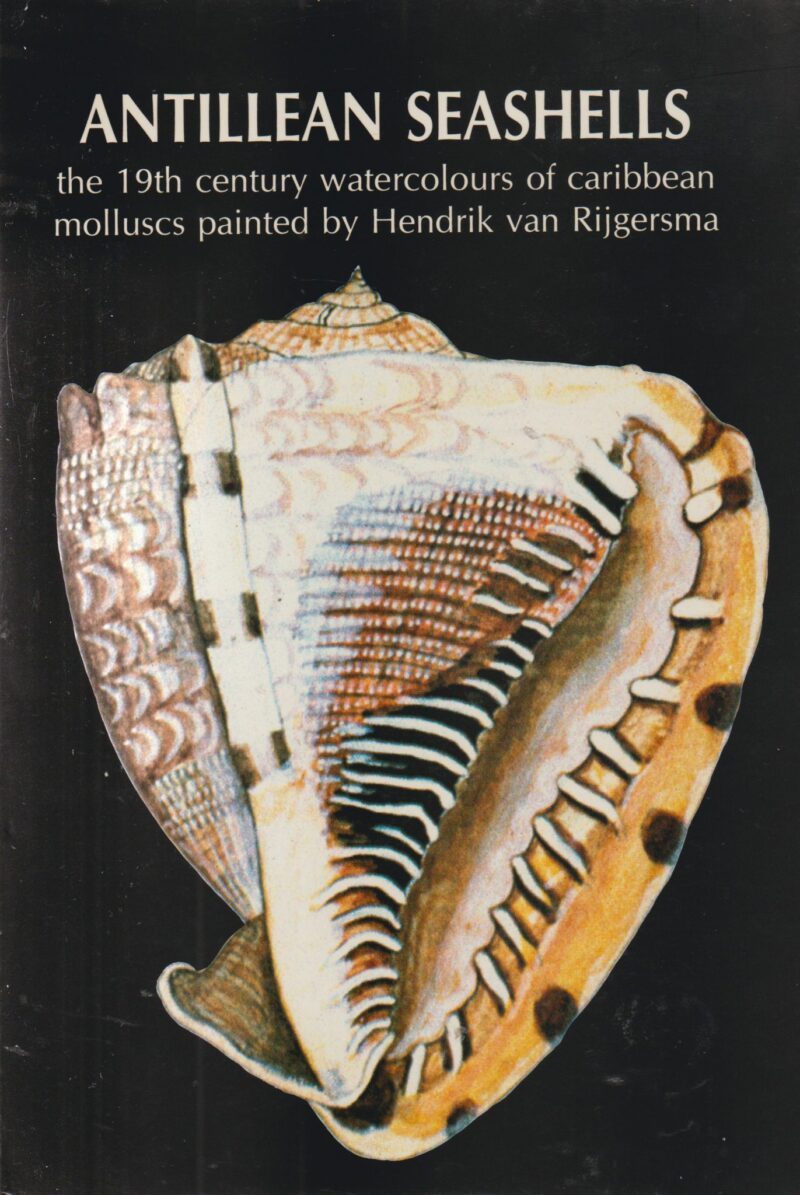 Antillean Seashells - the 19th century watercolours of Caribbean molluscs painted by Hendrik van Rijgersma -