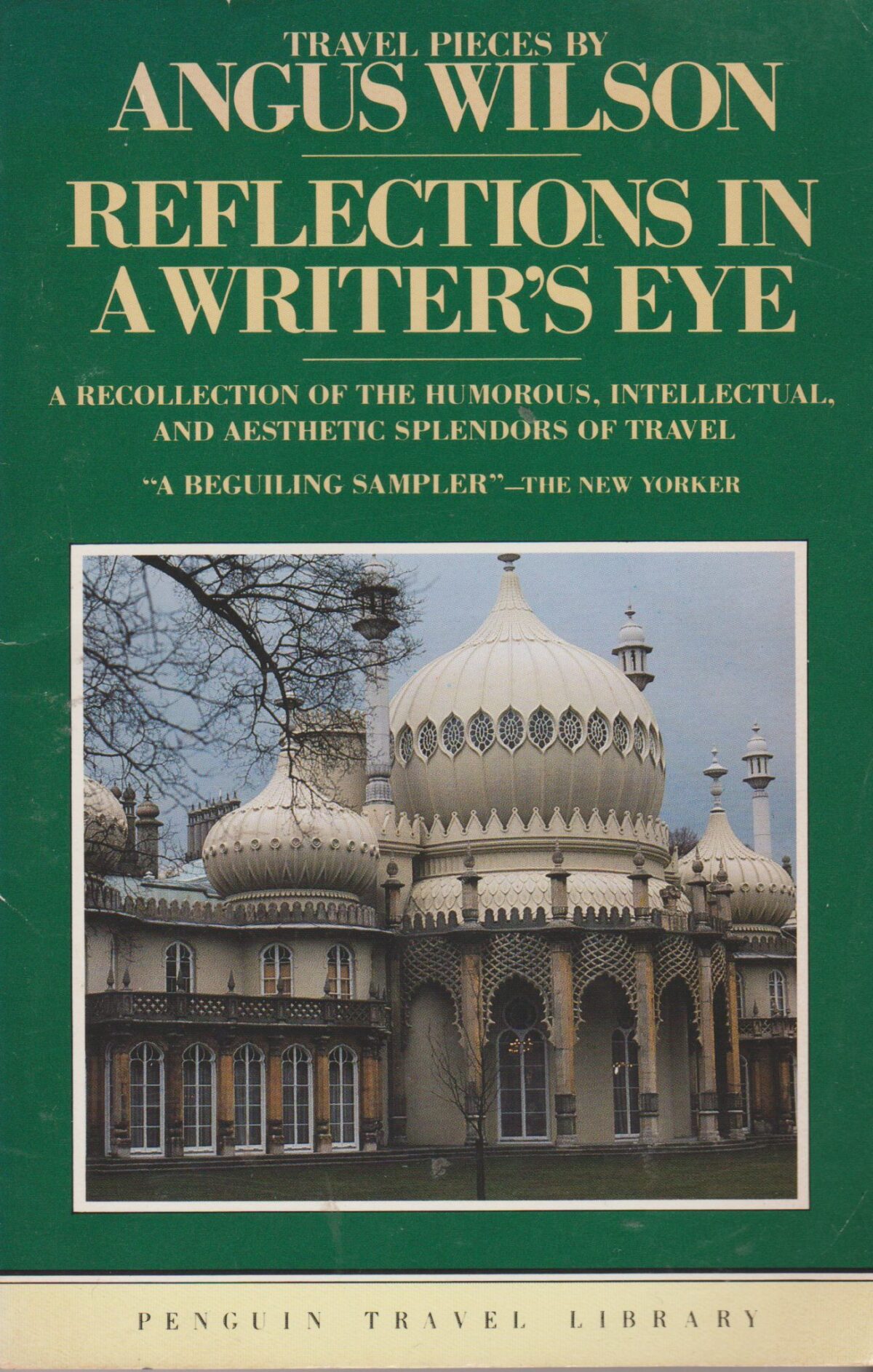 Reflections in a Writer's Eye