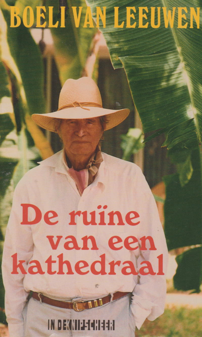 De ruïne van een kathedraal - Verhalen -