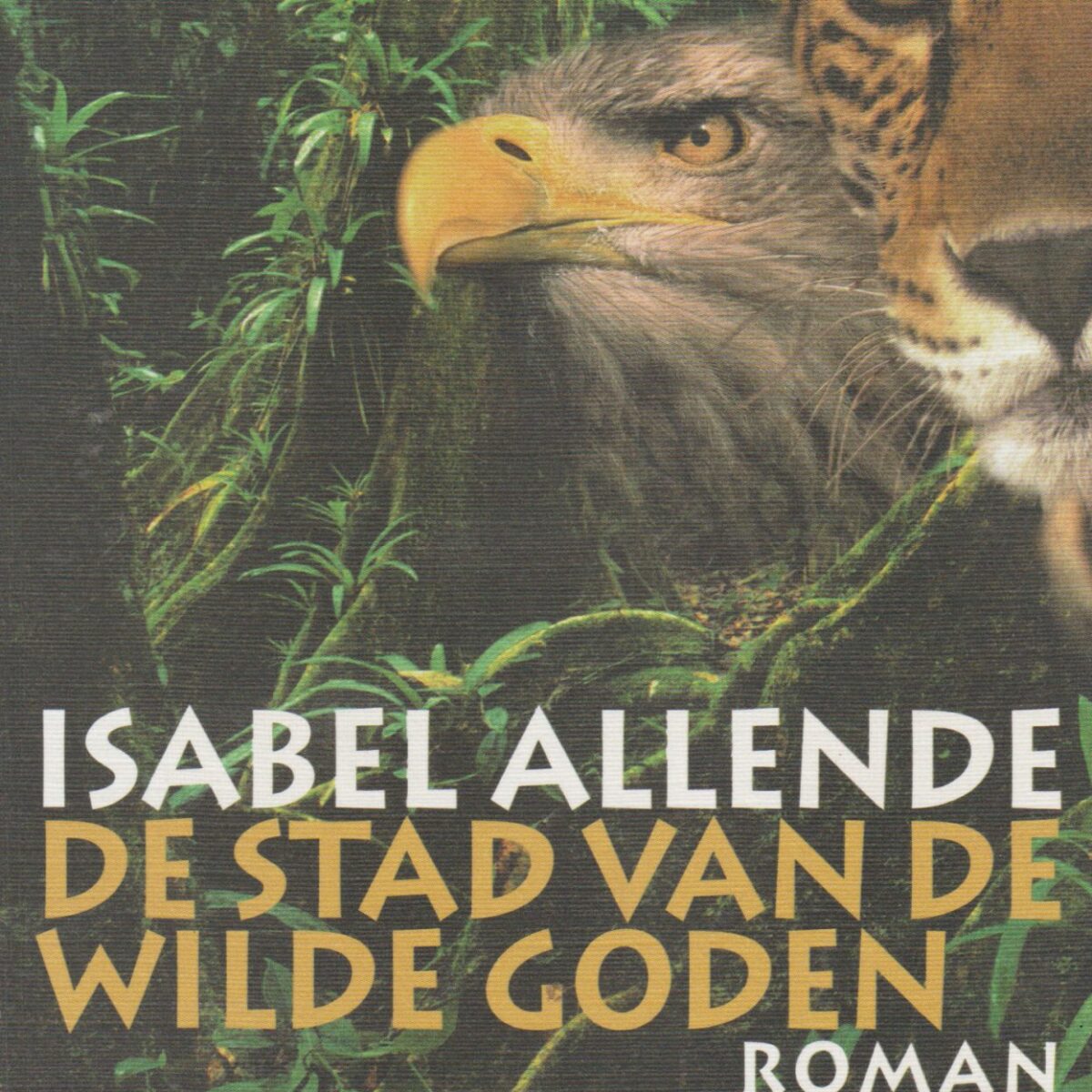 De stad van de wilde goden