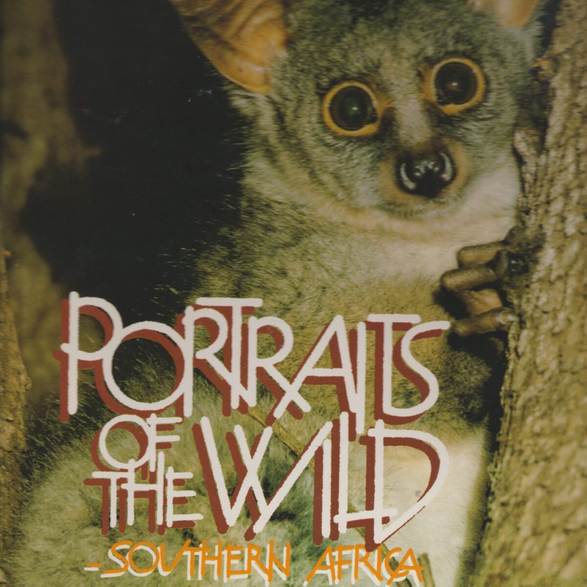 Portraits of the Wild - Southern Africa -