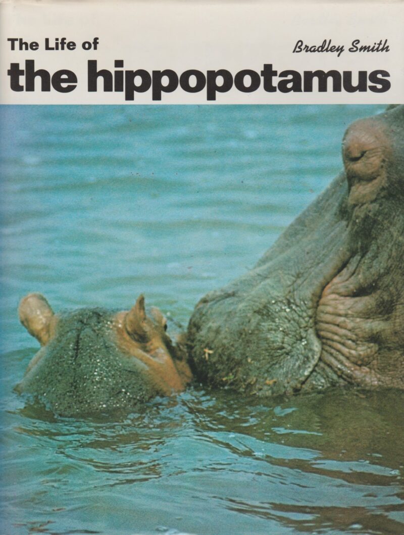 The Life of the hippopotamus