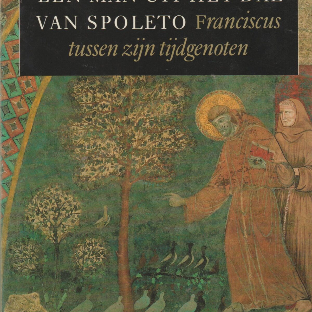 De man uit het dal van Spoleto - Franciscus tussen zijn tijdgenoten -