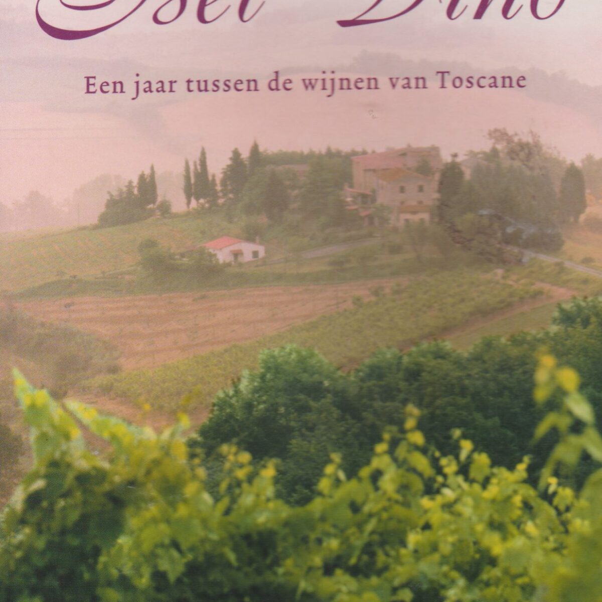 Bel Vino - Een jaar tussen de wijnen van Toscane -