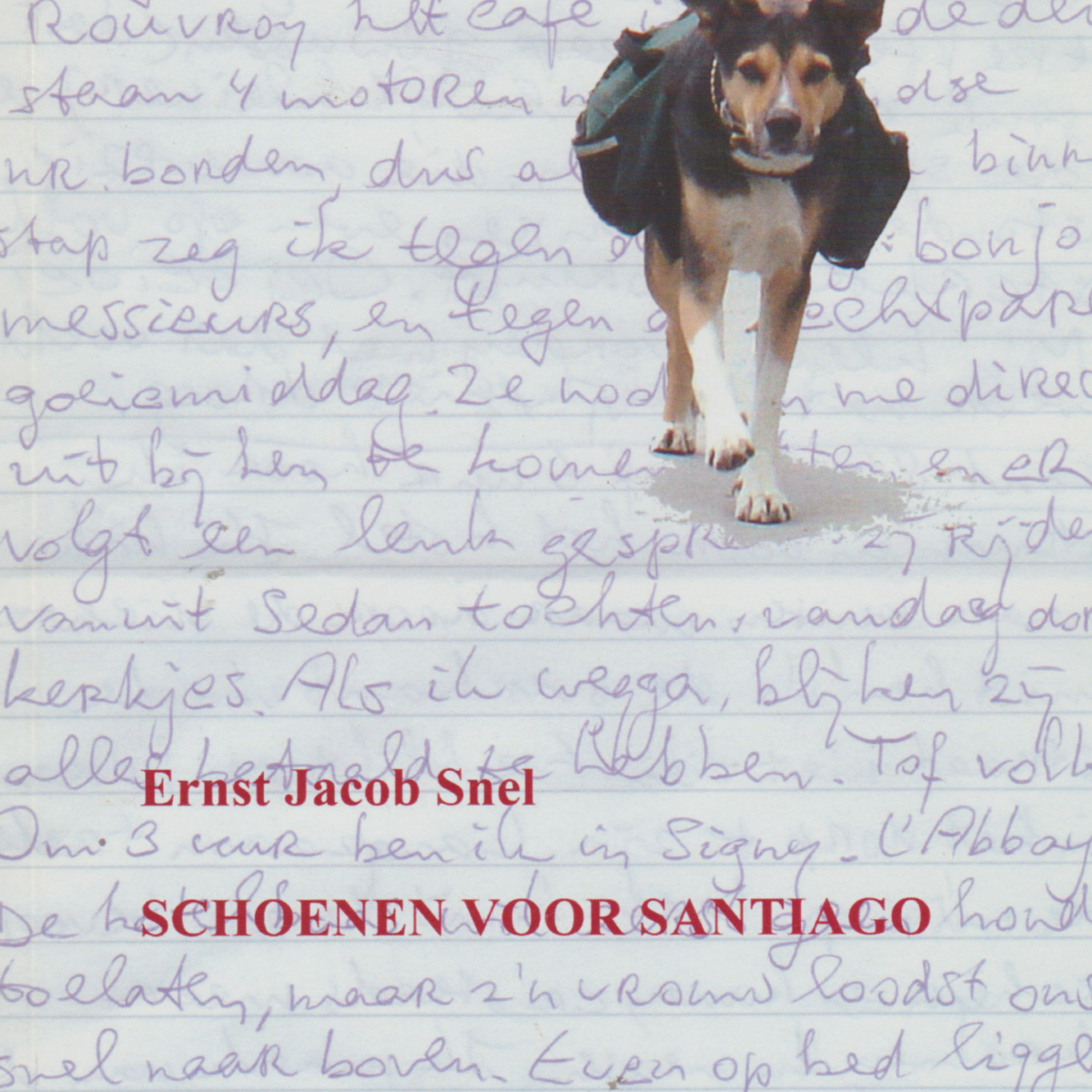 Schoenen voor Santiago