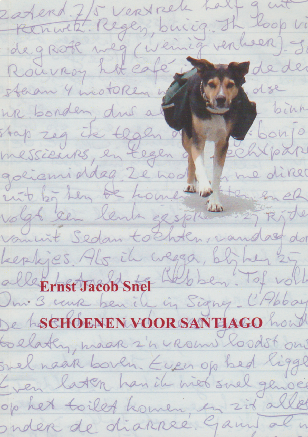 Schoenen voor Santiago