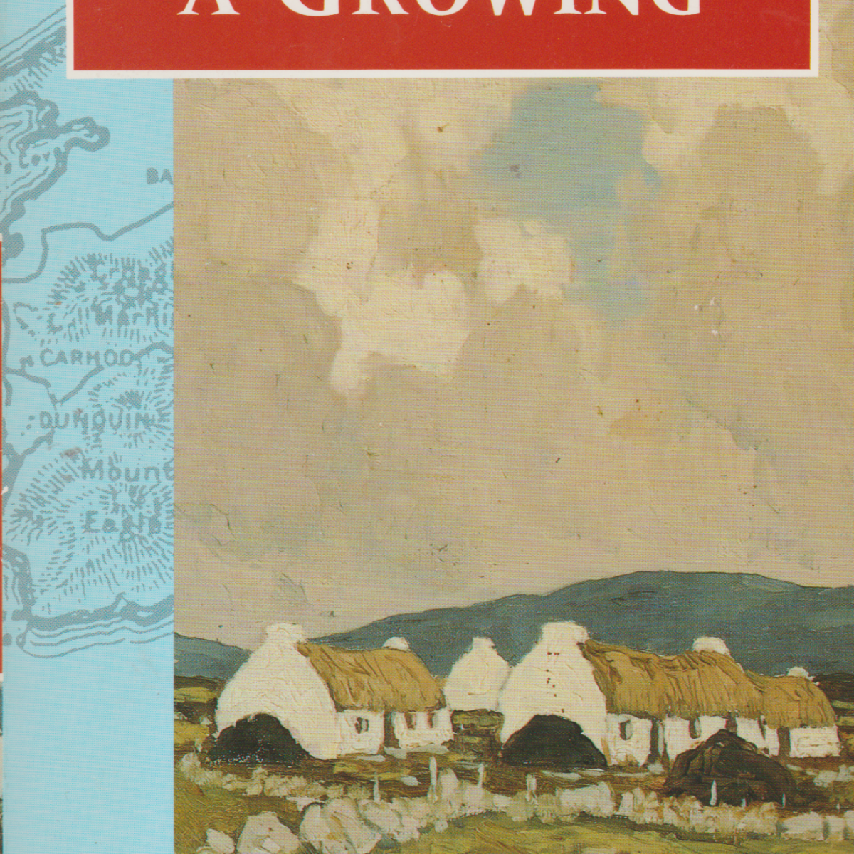 Twenty Years A-Growing