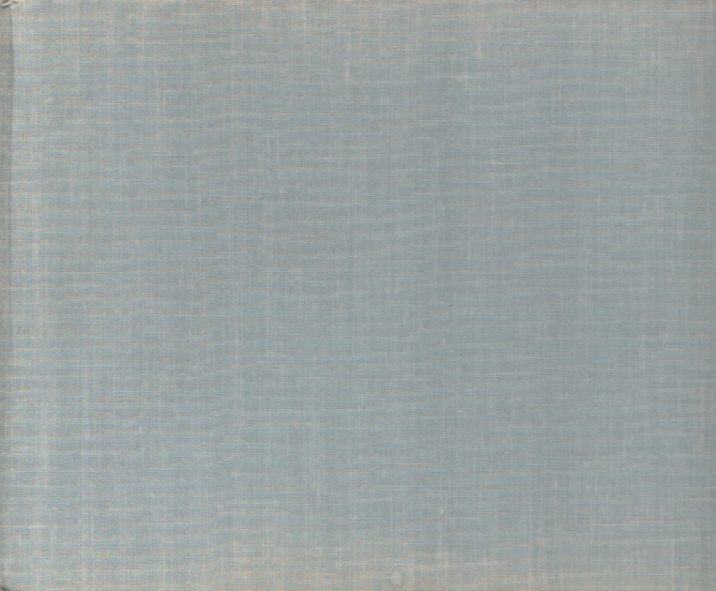 Souwtje de Wijn - Leven en illusies van een Texels kunstenares -