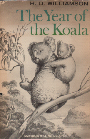 The Year of the Koala