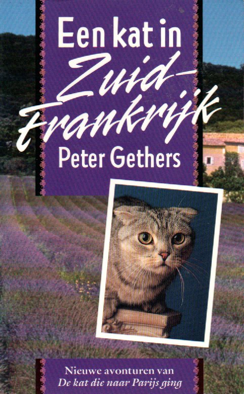 Een kat in Zuid-Frankrijk