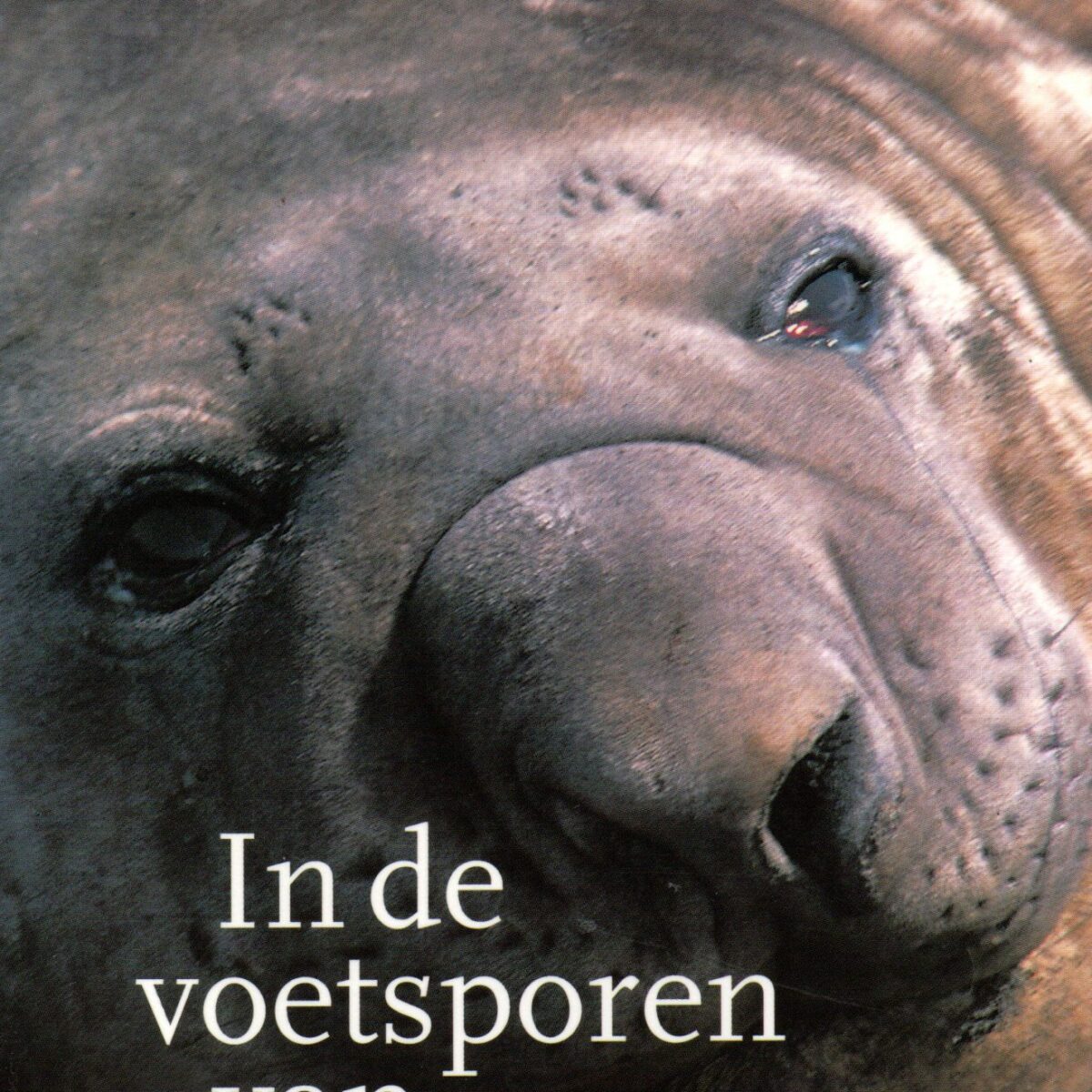 In de voetsporen van Shackleton - De dwaze gekte en de alledaagse gewoonheid van de antarctische cultuur -