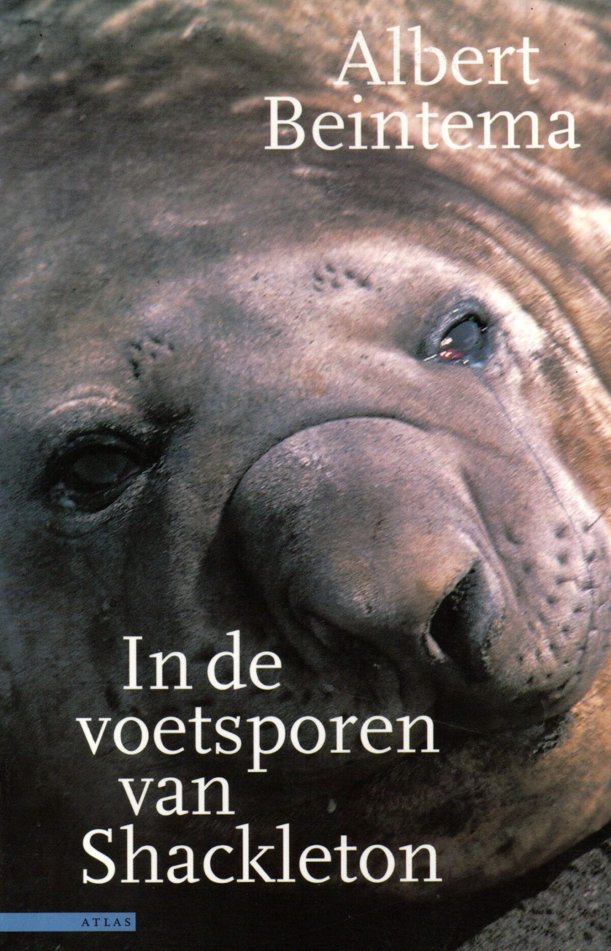 In de voetsporen van Shackleton - De dwaze gekte en de alledaagse gewoonheid van de antarctische cultuur -