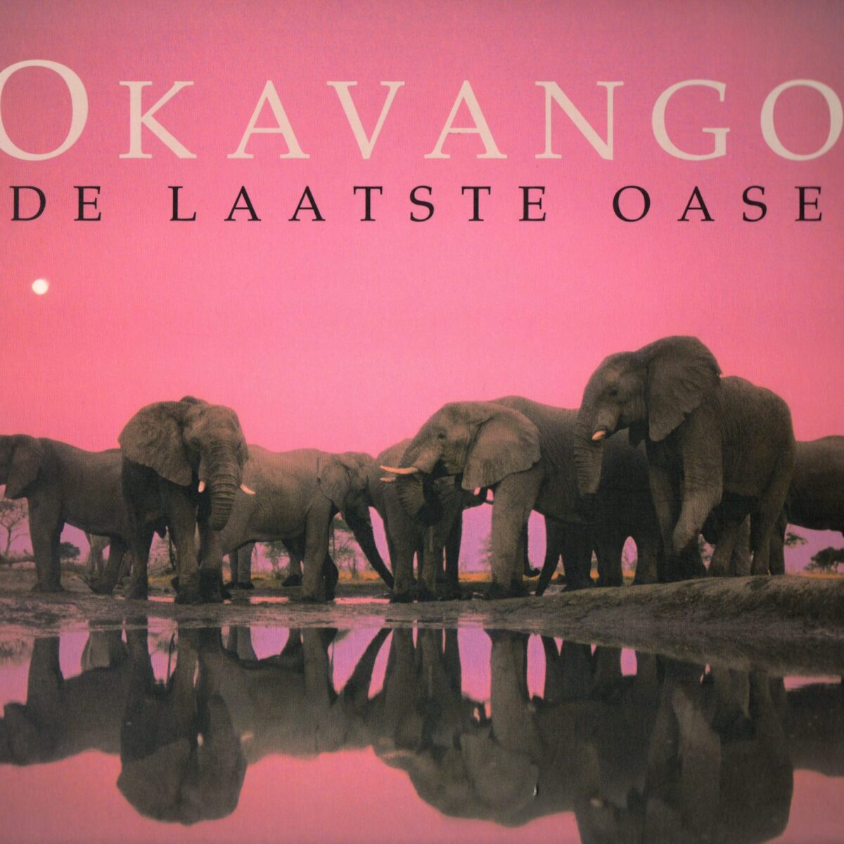 Okavango - De laatste oase -