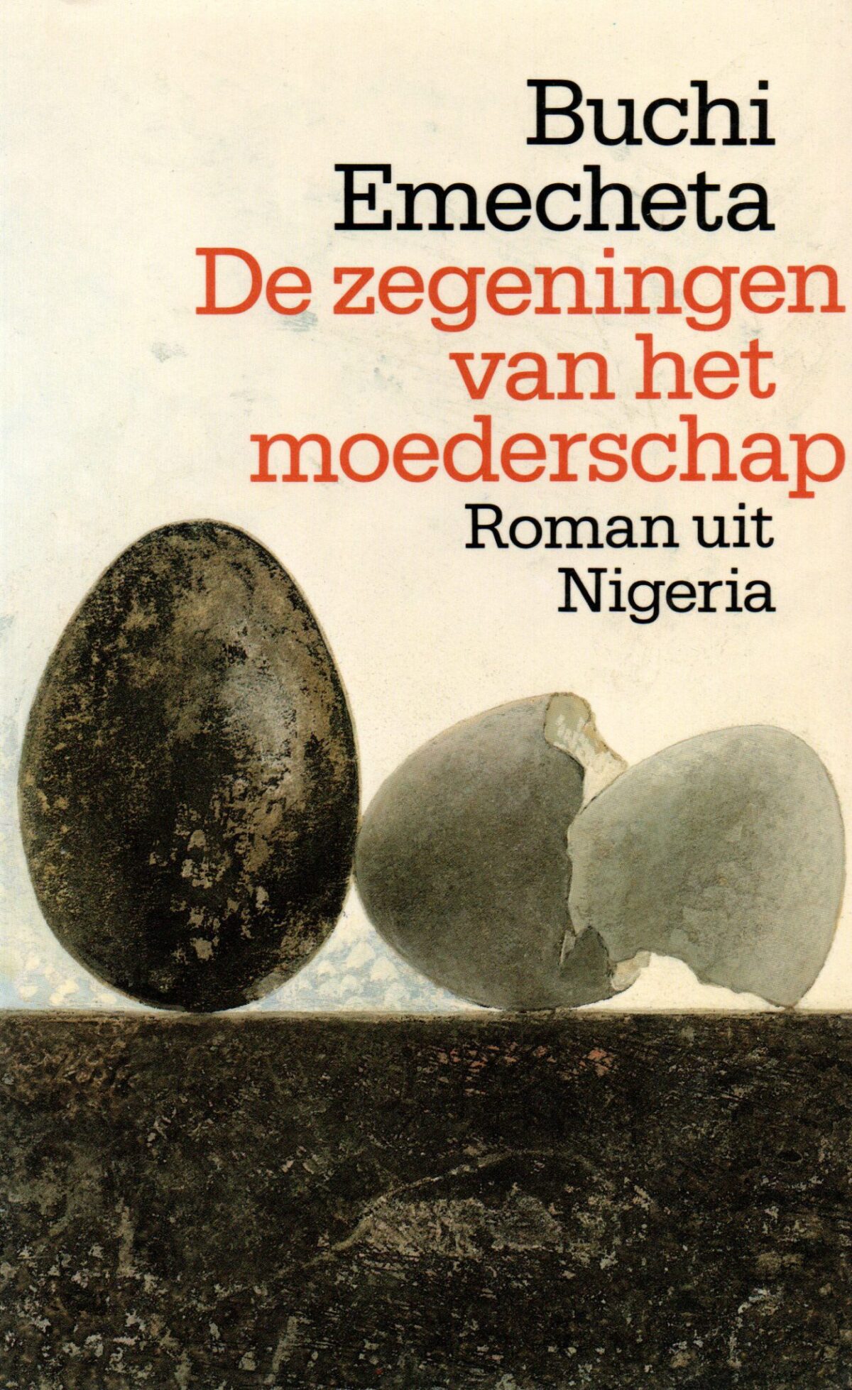 De zegeningen van het moederschap - Roman uit Nigeria -