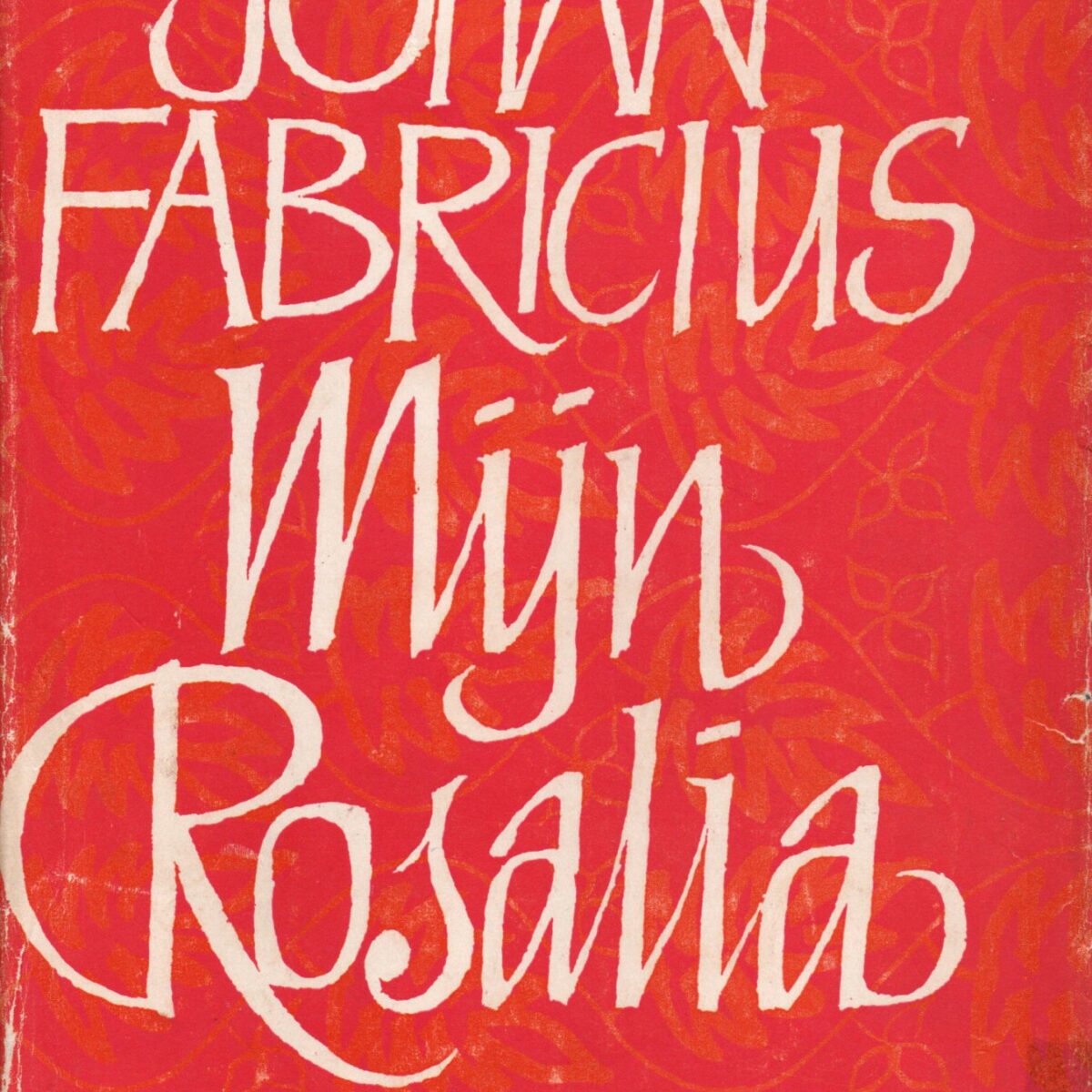 Mijn Rosalia - roman -