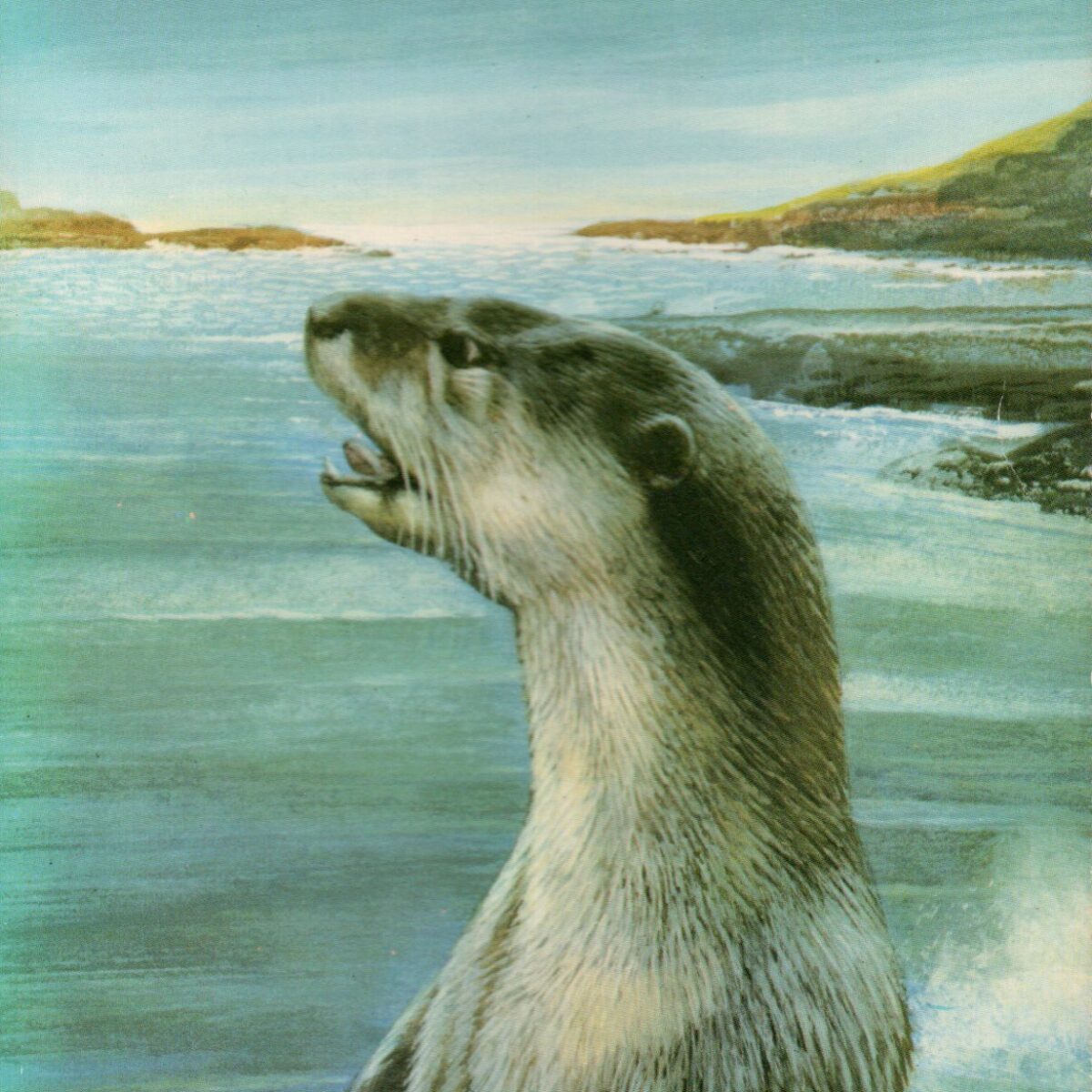 Raven seek thy brother