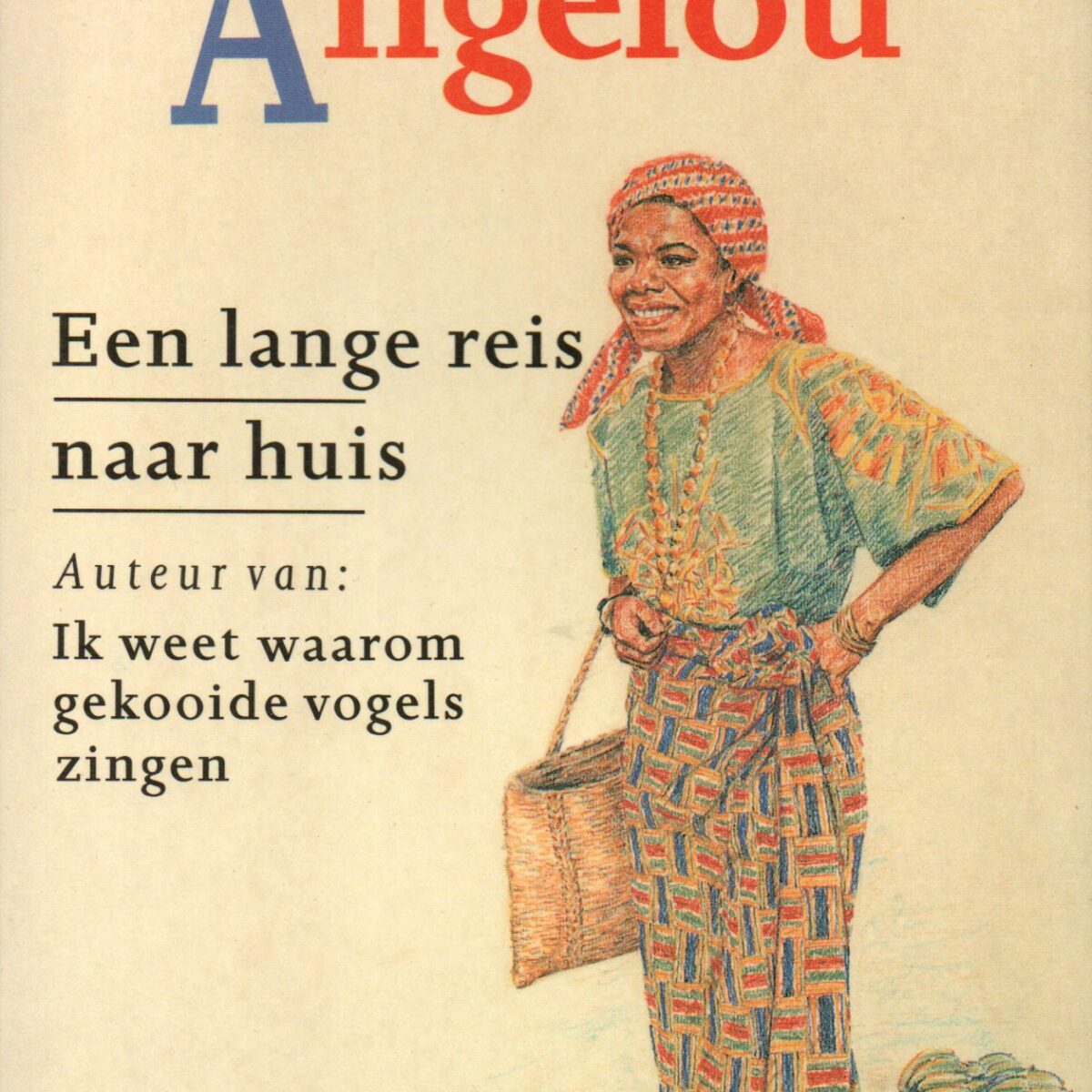 Een lange reis naar huis - een autobiografische roman -