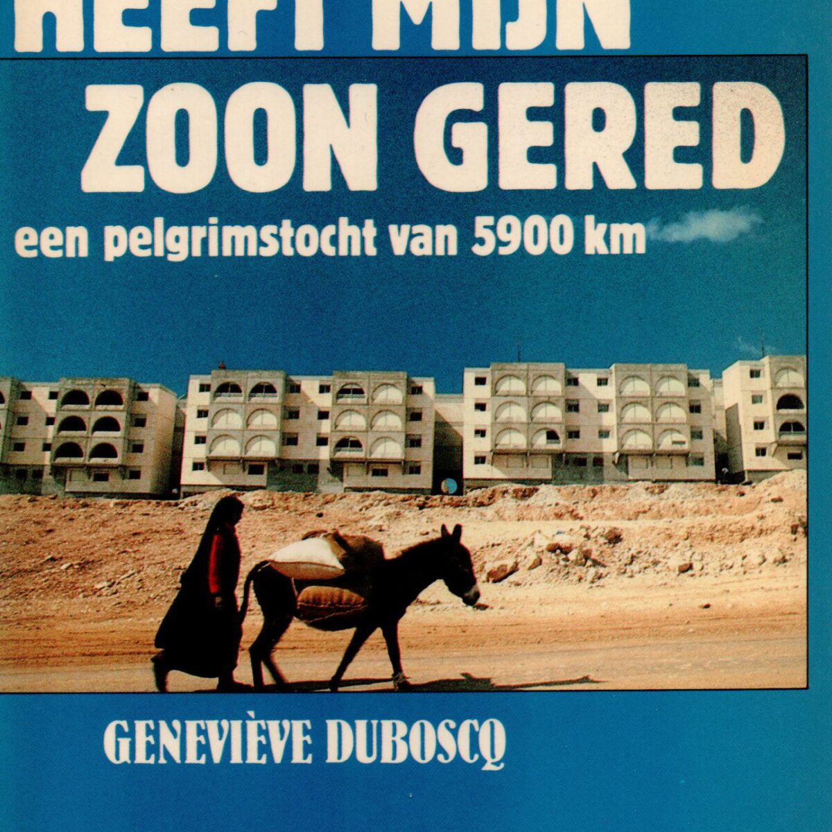 Een wonder heeft mijn zoon gered - Een pelgrimstocht van 5900 km -