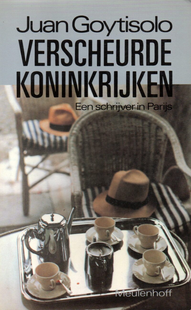 Verscheurde koninkrijken - Een schrijver in Parijs -