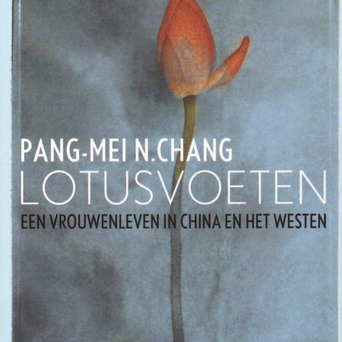 Lotusvoeten - Een vrouwenleven in China en het westen -