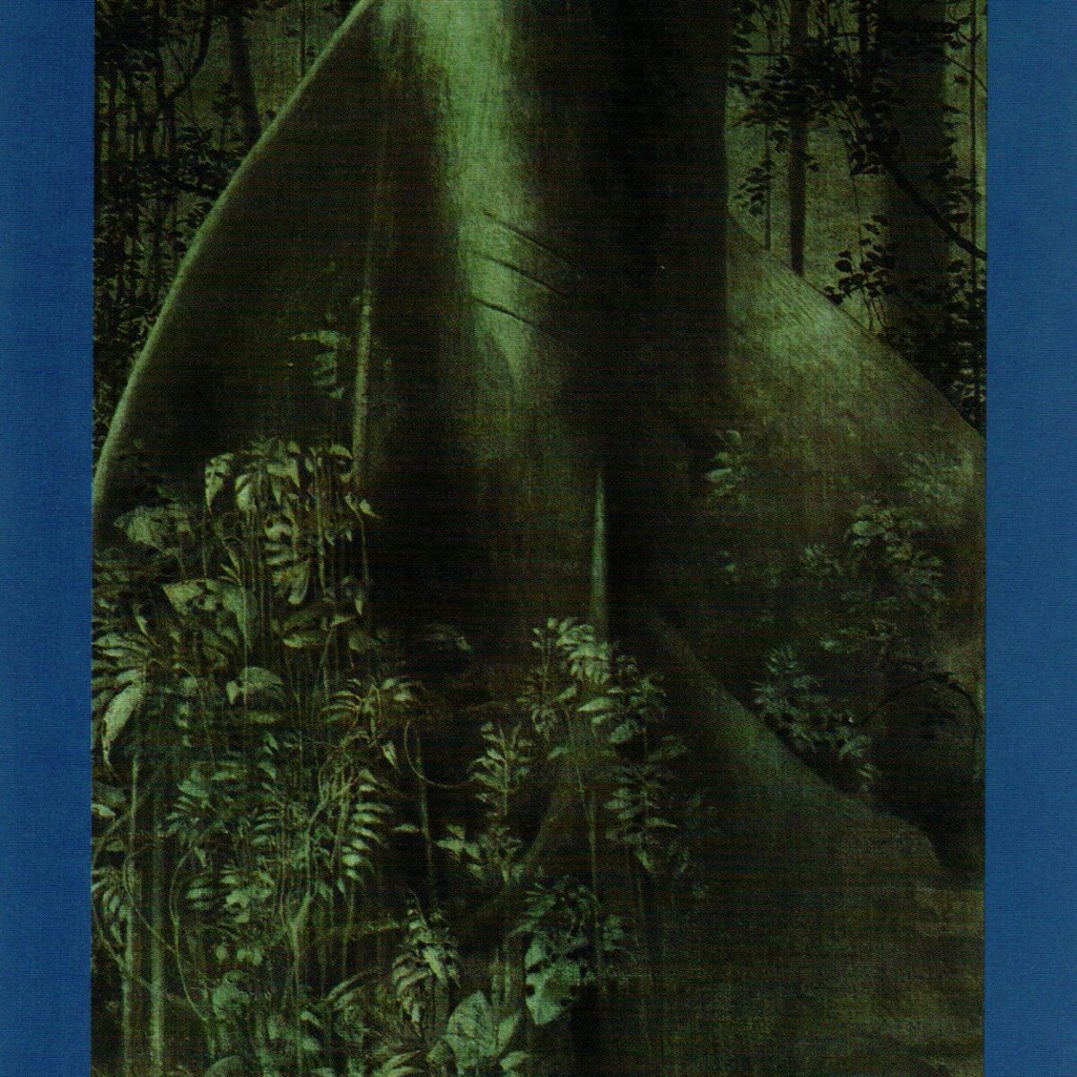 De honderd bochten van de koningsarend