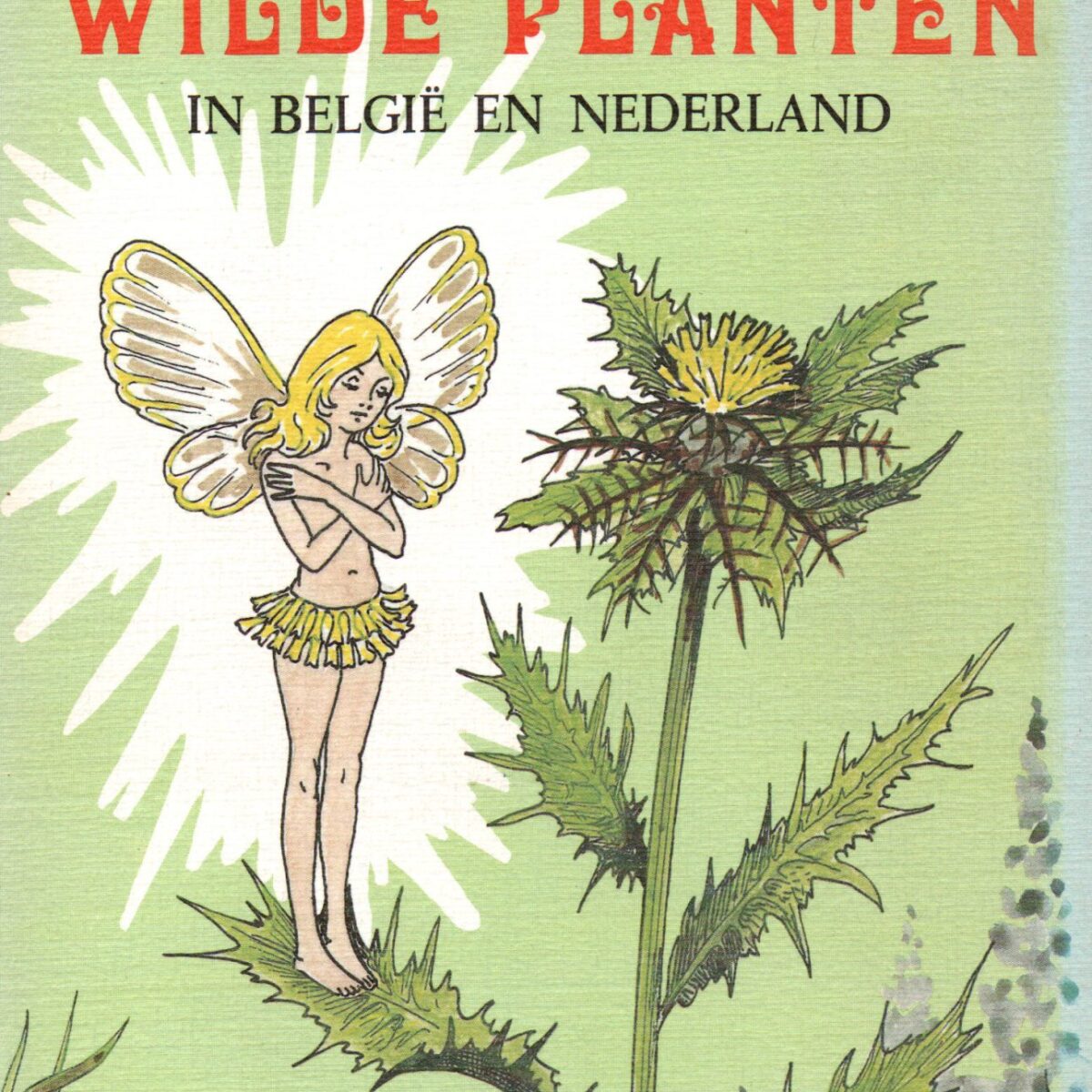 Folklore van wilde planten in België en Nederland