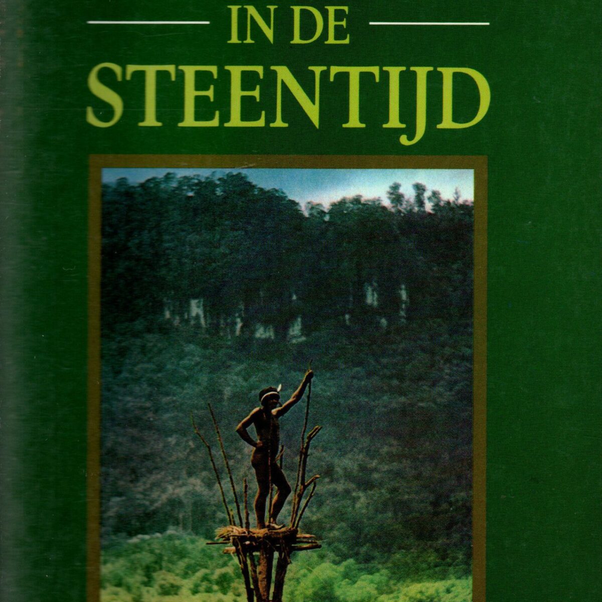 Een vallei in de steentijd