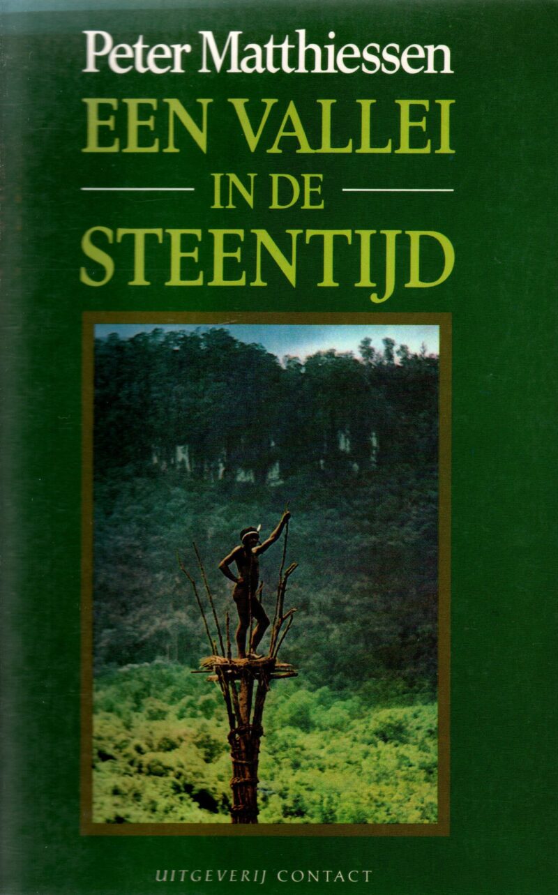 Een vallei in de steentijd