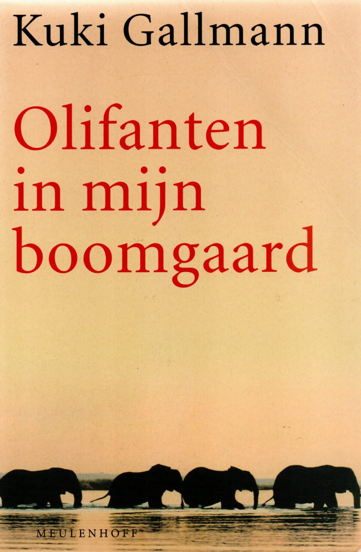 Olifanten in mijn boomgaard