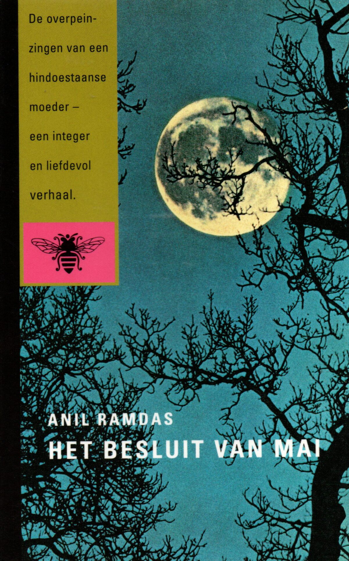 Het besluit van Mai - De overpeinzingen van een hindoestaanse moeder, een integer en liefdevol verhaal -