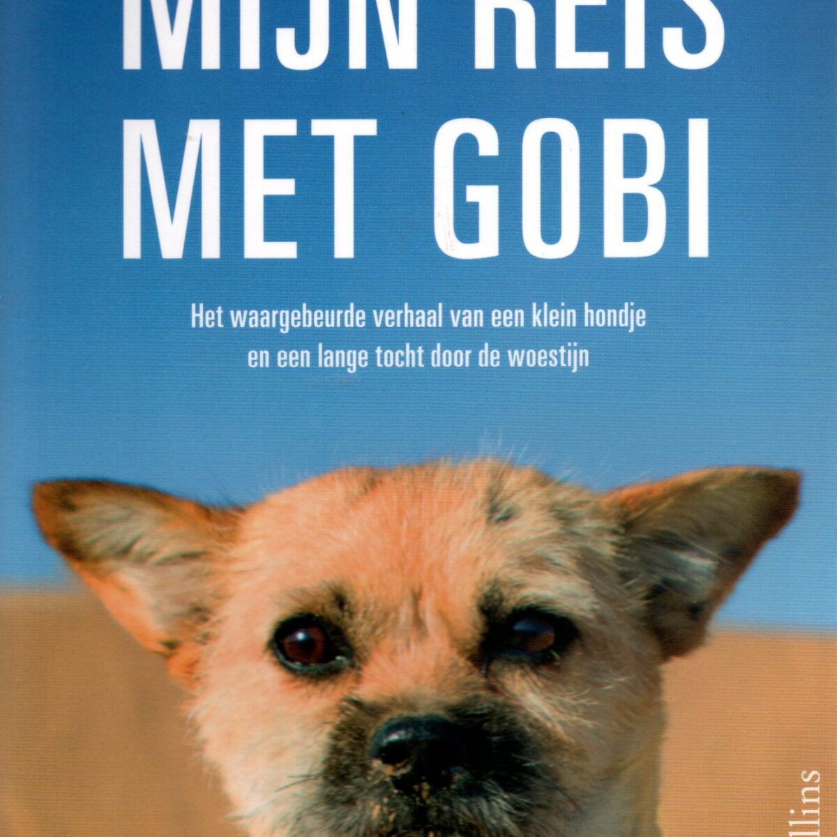 Mijn reis met Gobi - Het waargebeurde verhaal van een klein hondje en een lange tocht door de woestijn -
