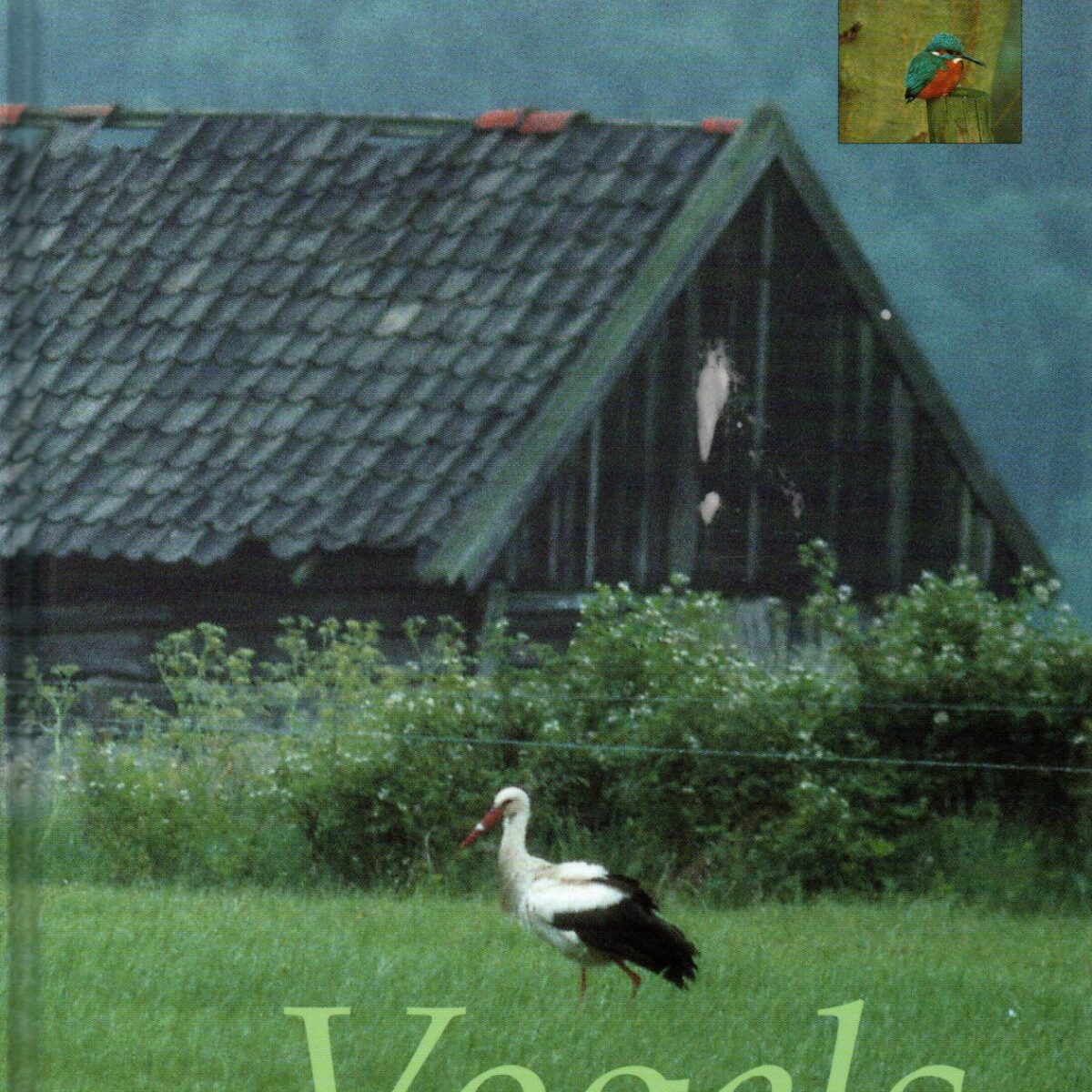 Vogels in Twente - het landschap, de vogels, vijftien wandelingen -