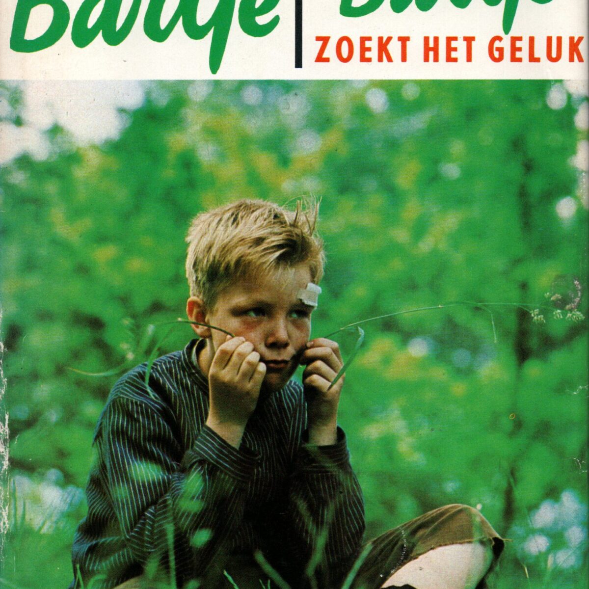 Bartje / Bartje zoekt het geluk