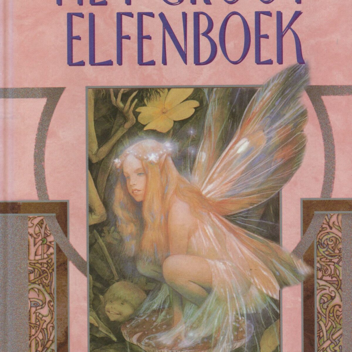 Het Groot Elfenboek - Ontmoetingen met elfen & De wijsheid van de heks -