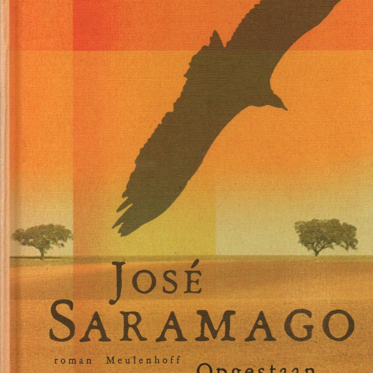 Opgestaan van de grond - roman -