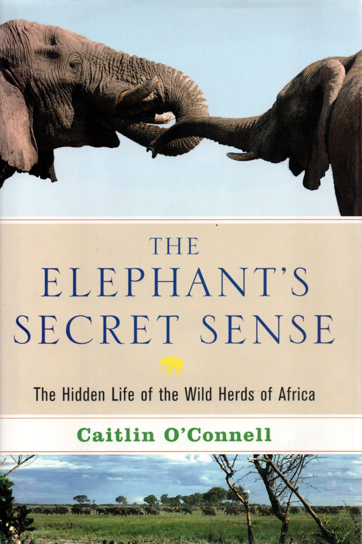 The Elephant's Secret Sense - The Hidden Life of the Wild Herds of Africa -