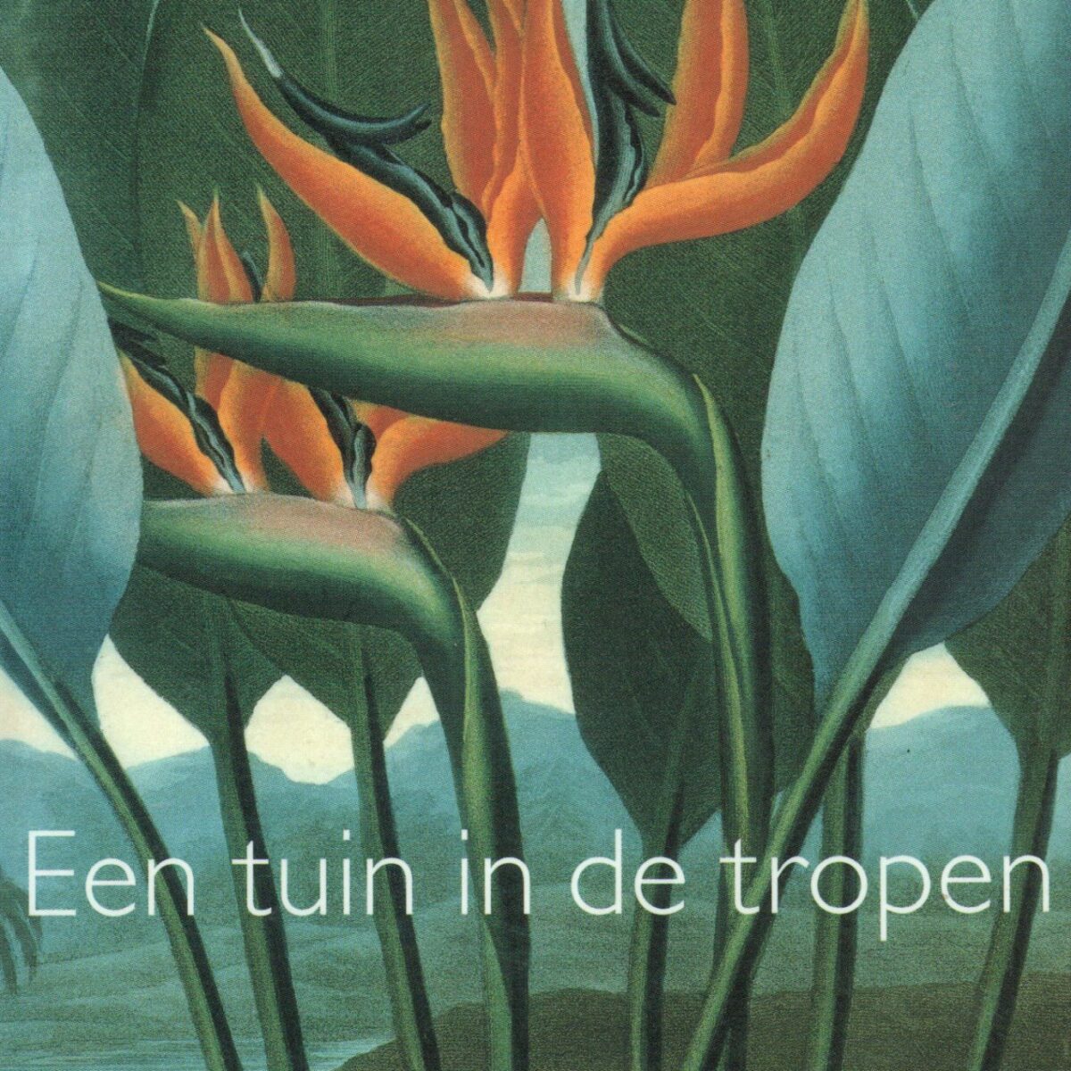 Een tuin in de tropen - novelle -