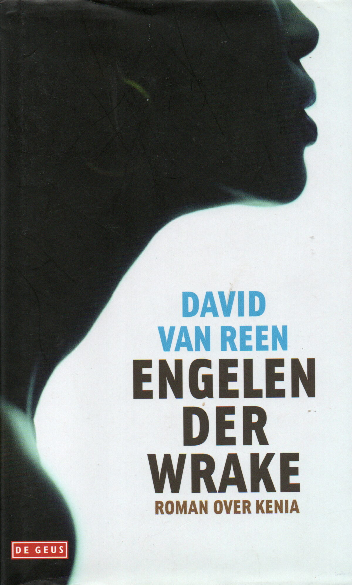 Engelen der wrake - Roman over Kenia -