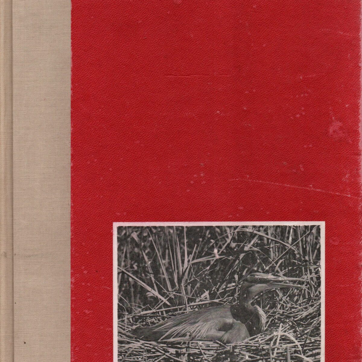 In weer en wind - Geïllustreerd maandschrift, gewijd aan natuurleven, reizen, volkskunde en buitensport -