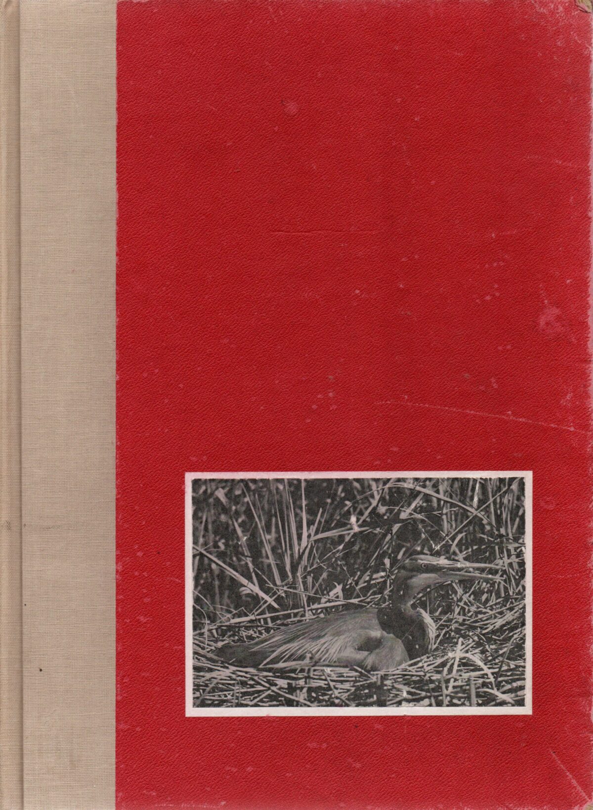 In weer en wind - Geïllustreerd maandschrift, gewijd aan natuurleven, reizen, volkskunde en buitensport -