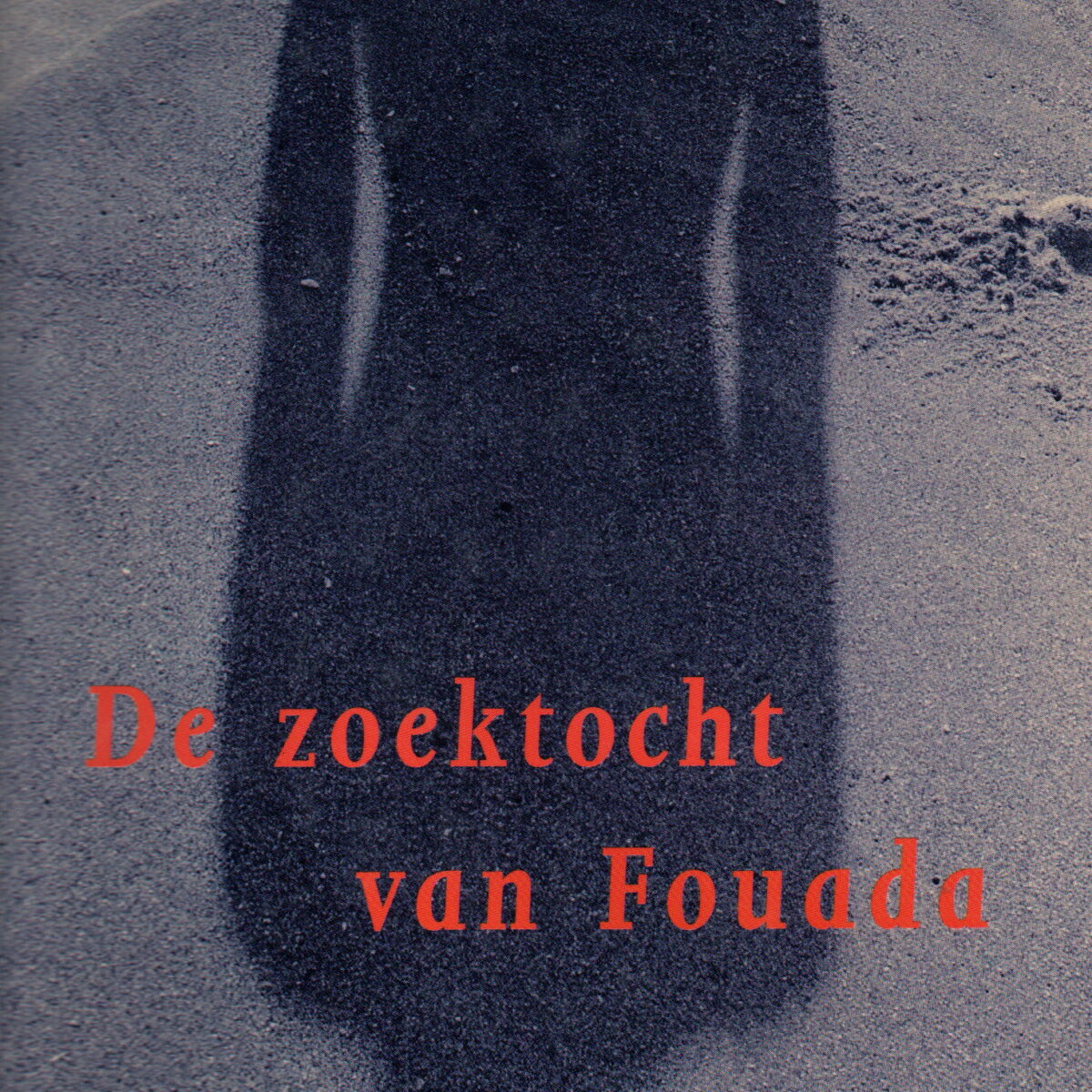 De zoektocht van Fouada - roman -