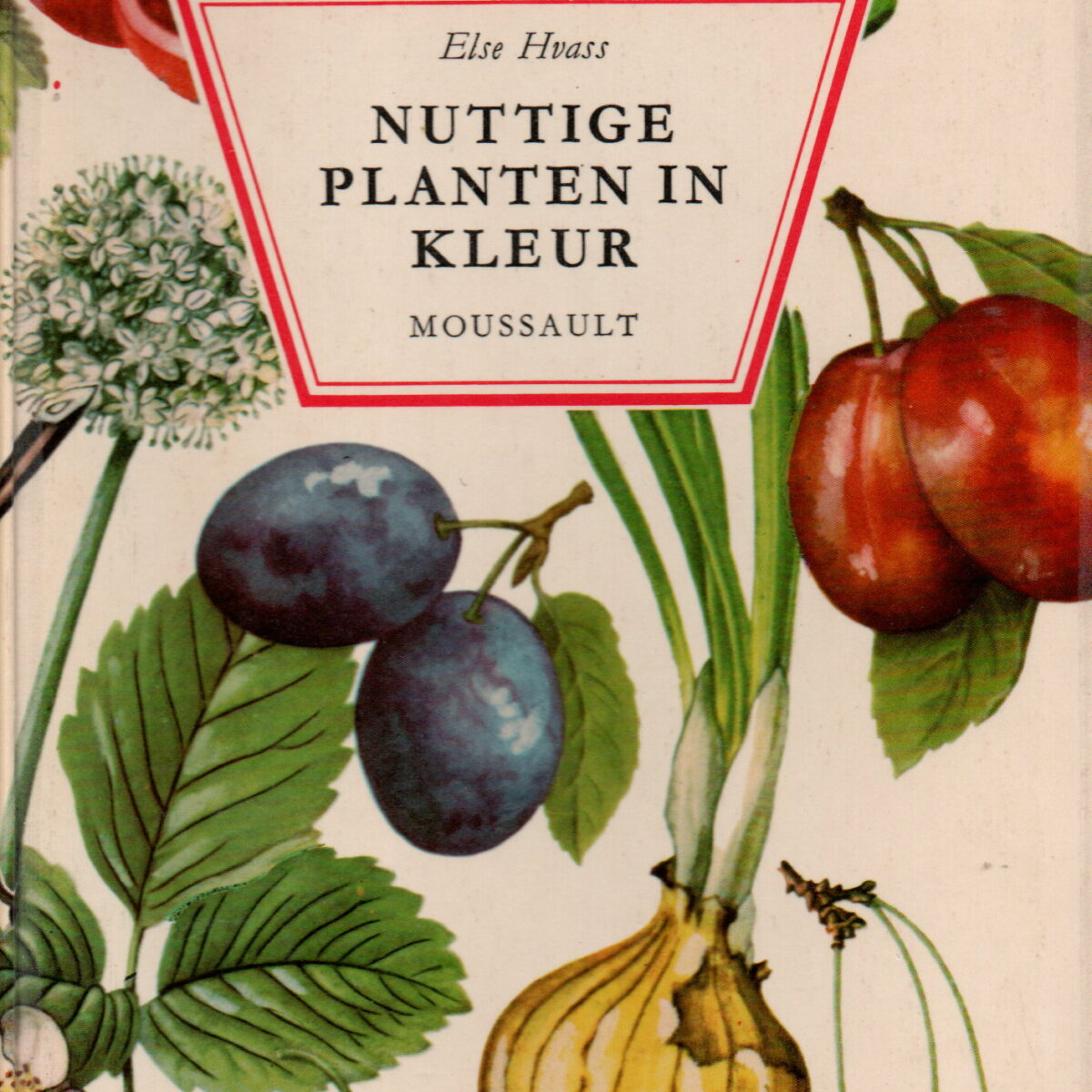 Nuttige planten in kleur