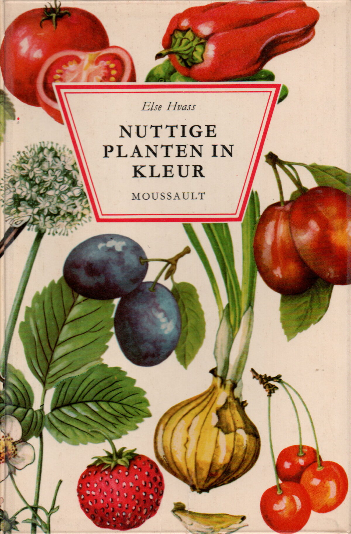 Nuttige planten in kleur